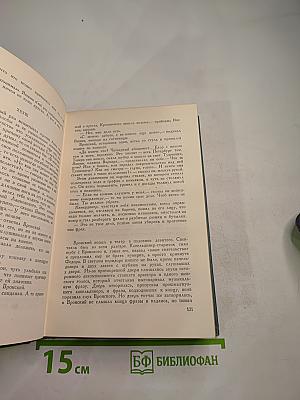 Анна Каренина. Том девятый (Собрание сочинений в четырнадцати томах)