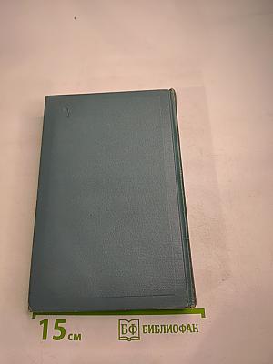 Анна Каренина. Том девятый (Собрание сочинений в четырнадцати томах)