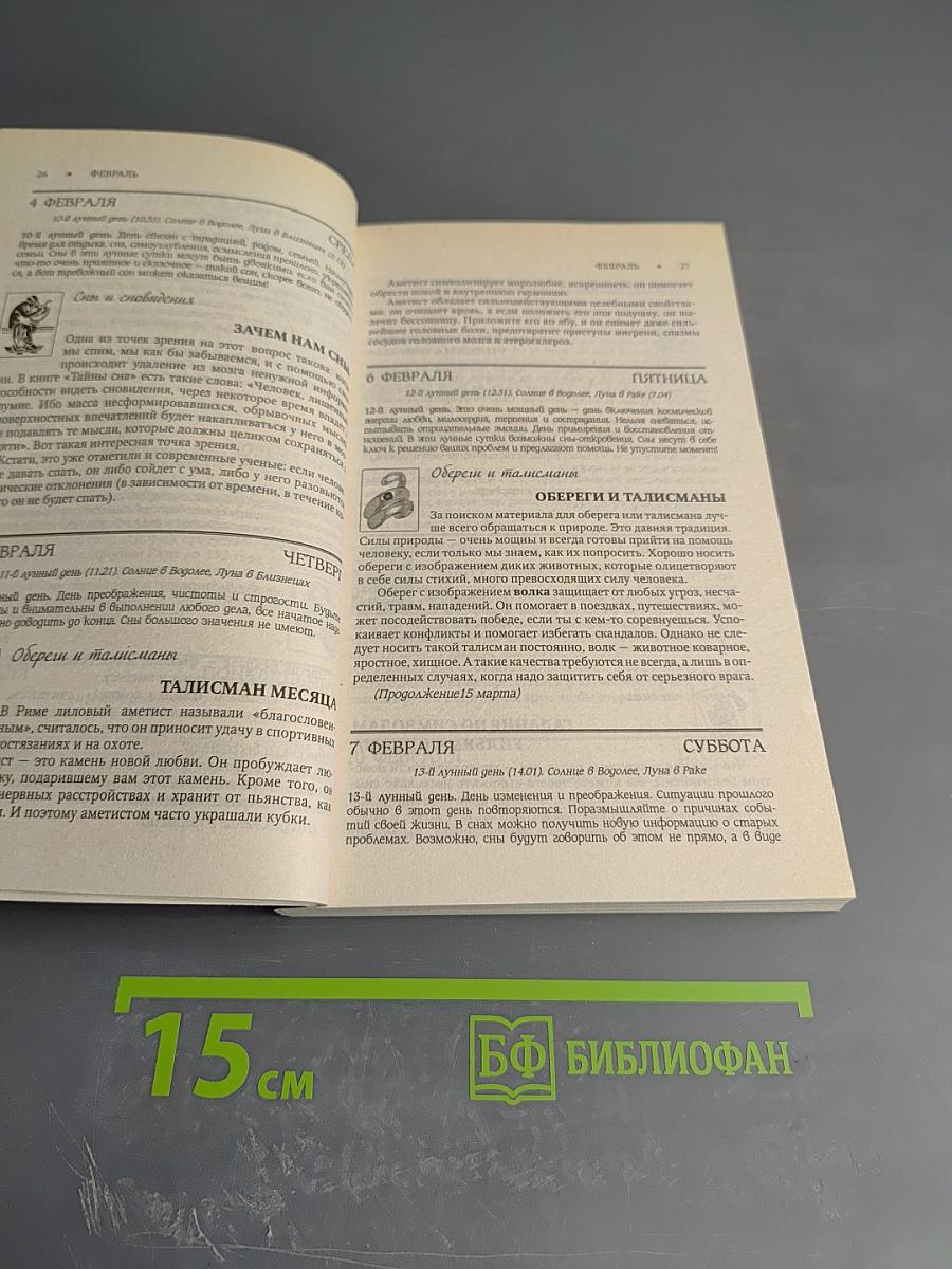 Магический календарь на 2009 год. Гадания, приметы, обереги. Книга-талисман