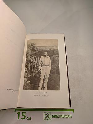 Жизнь Клима Самгина. Том двадцать первый