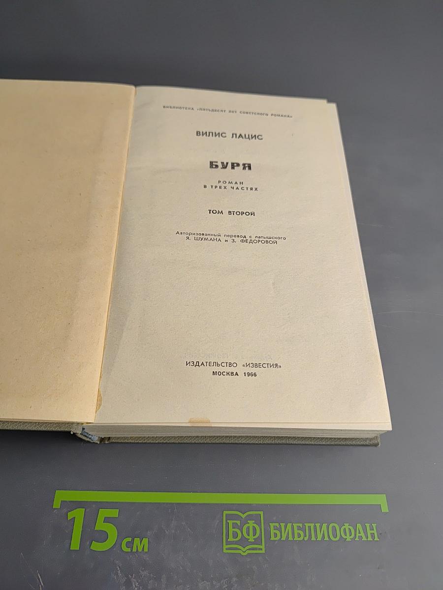 Буря. Том второй