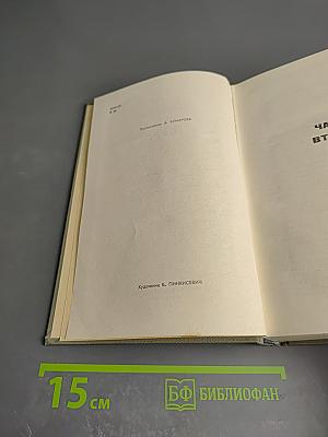 Буря. Том второй