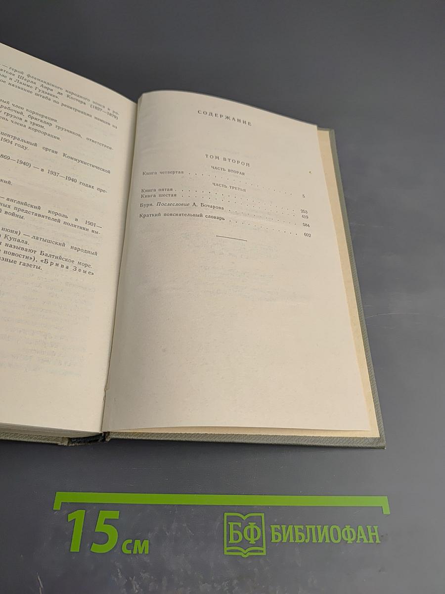 Буря. Том второй