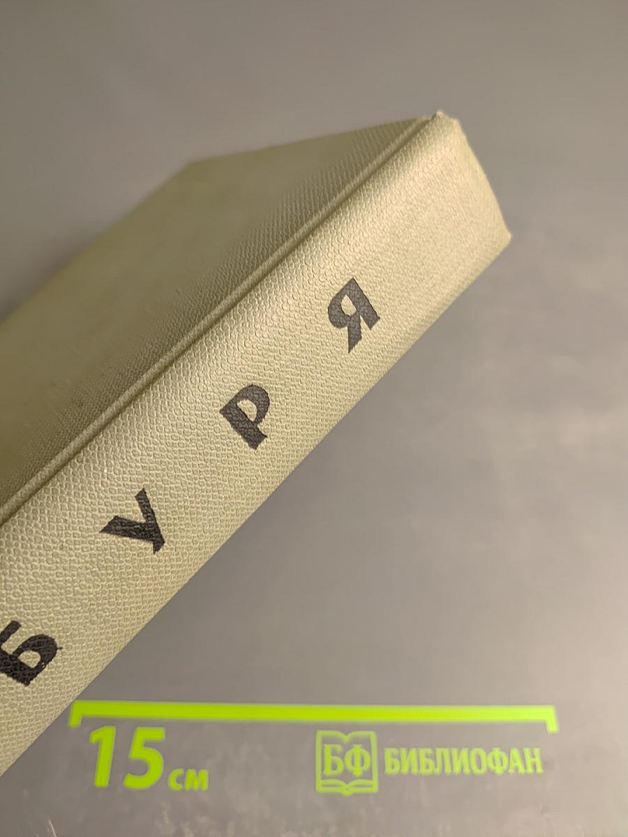 Буря. Том второй