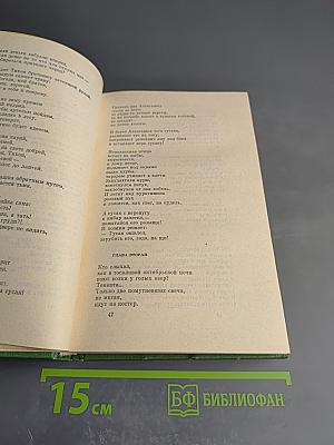 Сергей Васильев. Собрание сочинений. Том второй. Поэмы. Сатира