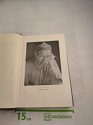 Собрание сочинений. Том 25. Статьи, речи, приветствия. 1929 – 1931