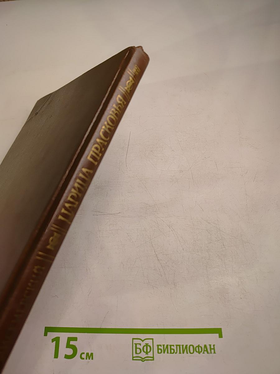 Царица Прасковья 1664-1723. Очерк из русской истории XVIII века