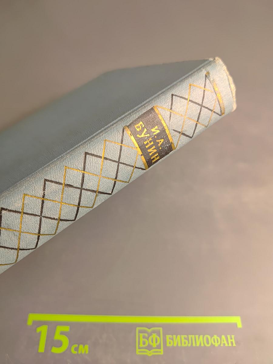 Собрание сочинений в пяти томах. Том второй: Повести и рассказы 1909-1912, Стихотворения 1903-1911