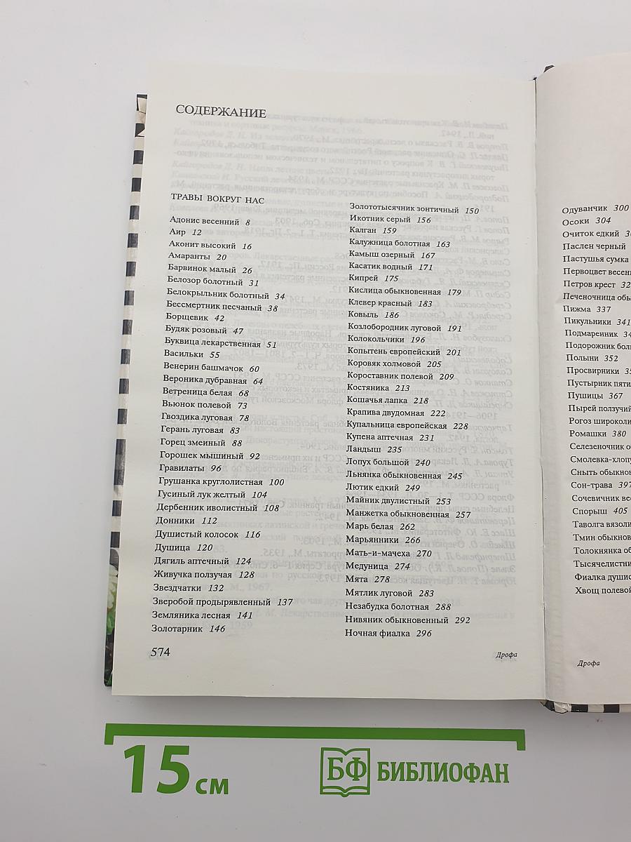 Русское разнотравье