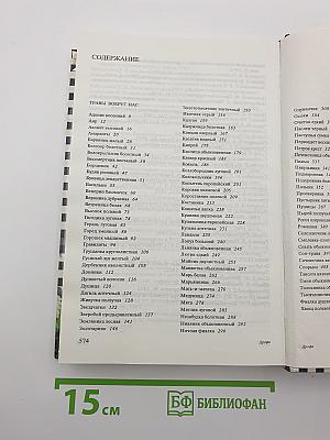 Русское разнотравье