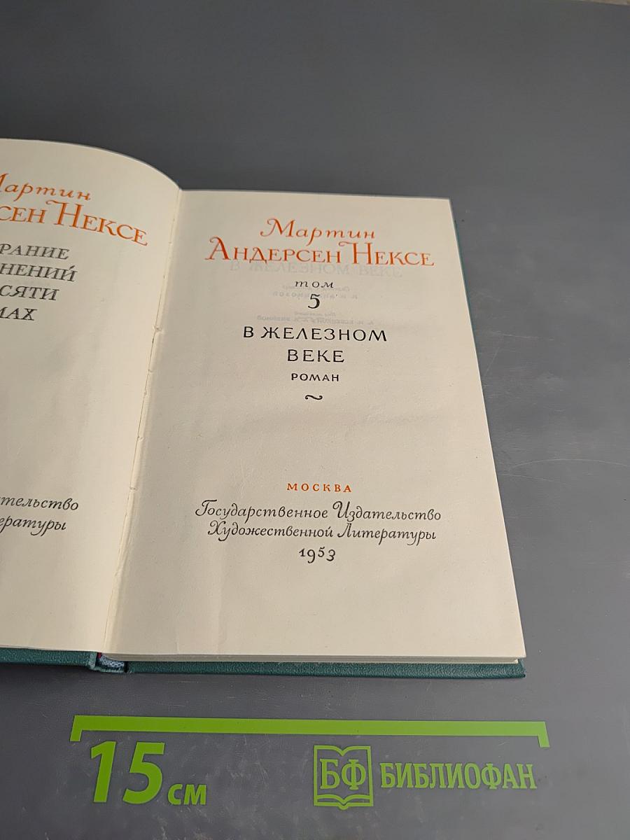 В Железном Веке. Том 5