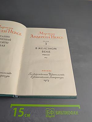 В Железном Веке. Том 5