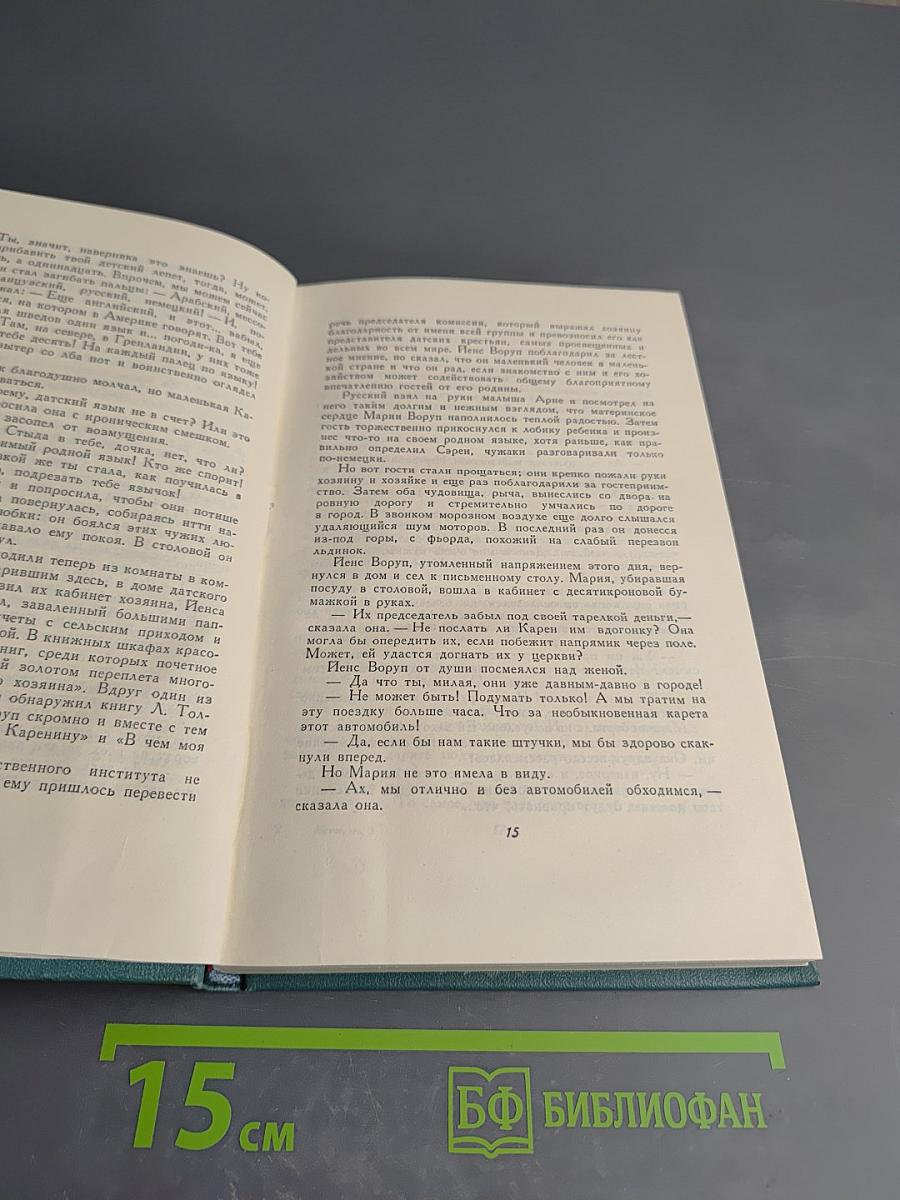 В Железном Веке. Том 5