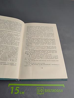 В Железном Веке. Том 5