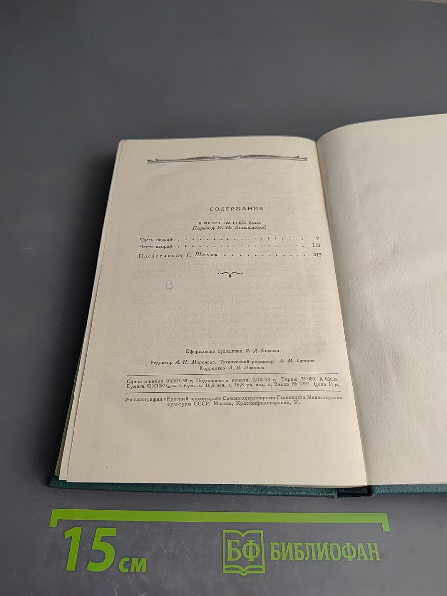 В Железном Веке. Том 5