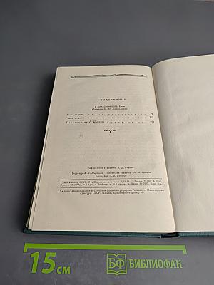 В Железном Веке. Том 5