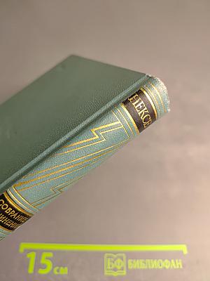 В Железном Веке. Том 5