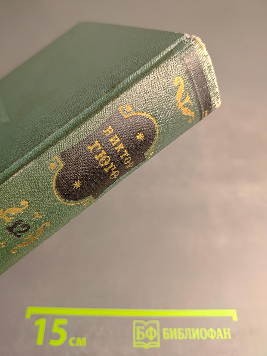 Виктор Гюго. Собрание сочинений, Том Двенадцатый. Стихотворения