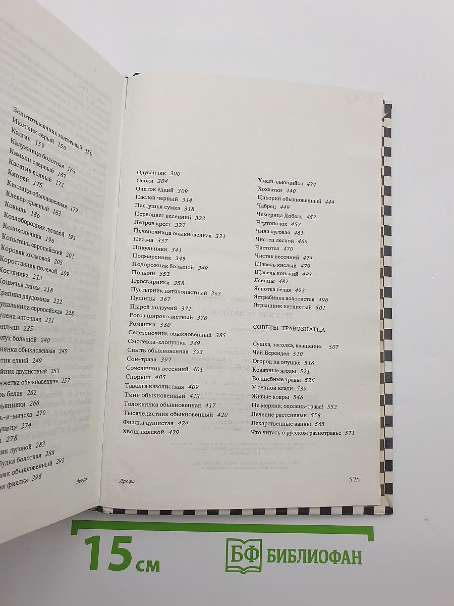 Русское разнотравье
