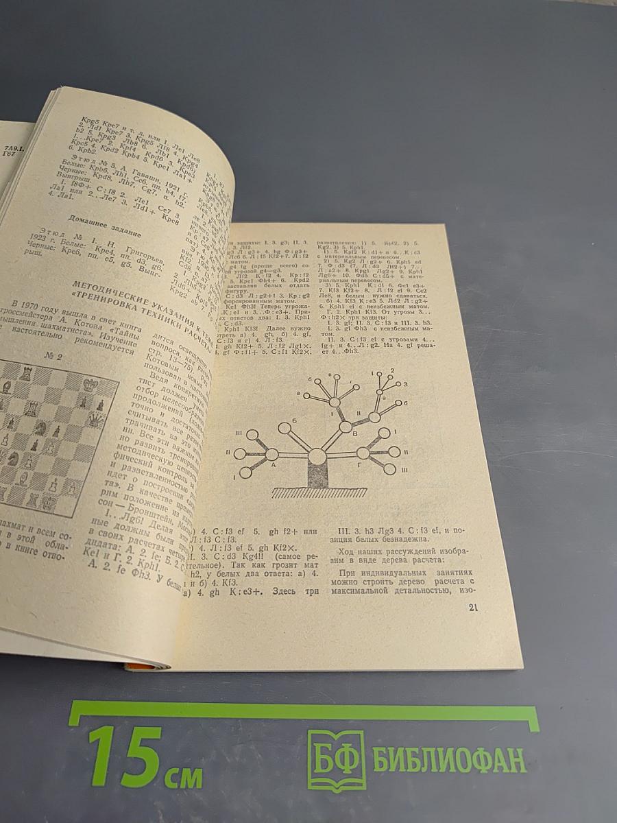 Подготовка юных шахматистов I разряда. Программа