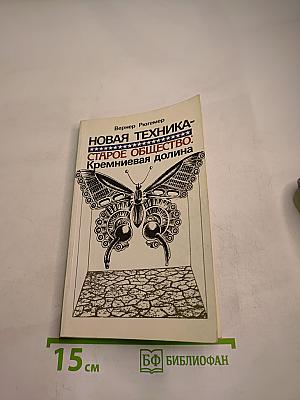 Новая техника – старое общество: Кремниевая долина