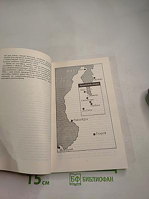 Новая техника – старое общество: Кремниевая долина