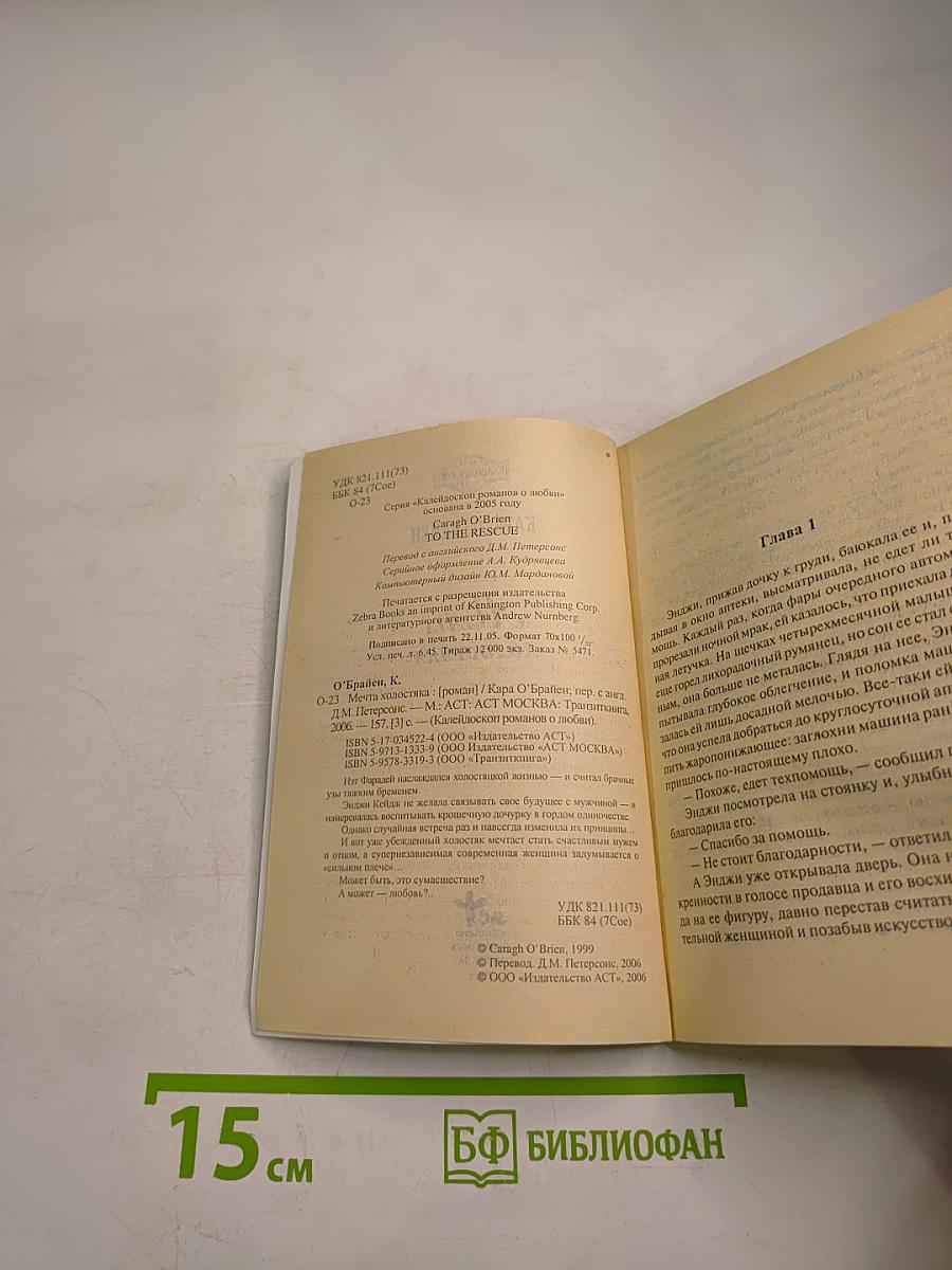 Мечта холостяка