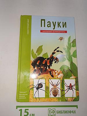 Пауки, клещи, скорпионы