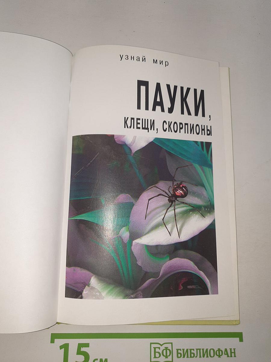 Пауки, клещи, скорпионы