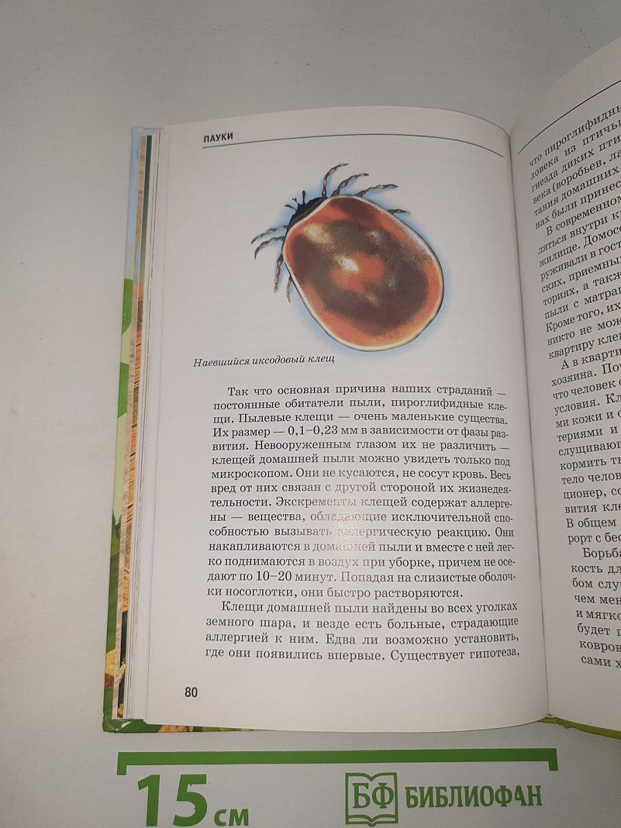 Пауки, клещи, скорпионы