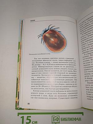 Пауки, клещи, скорпионы