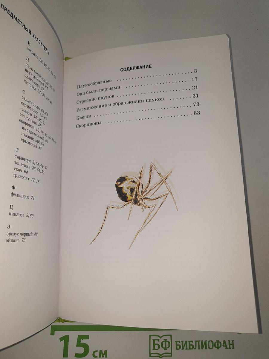 Пауки, клещи, скорпионы
