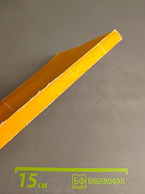 Азбука профориентации: Как молодому человеку преуспеть на рынке труда?