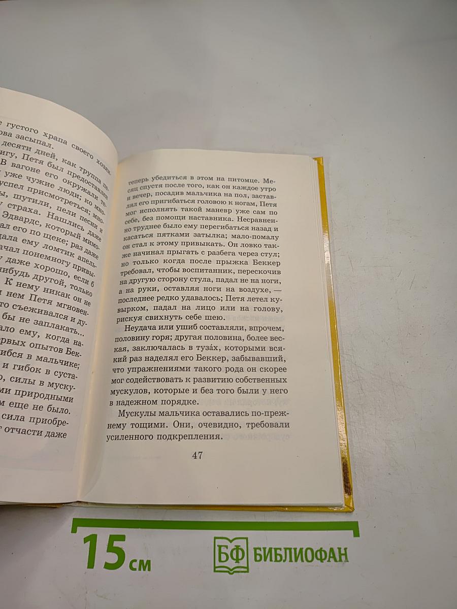 Гуттаперчевый мальчик