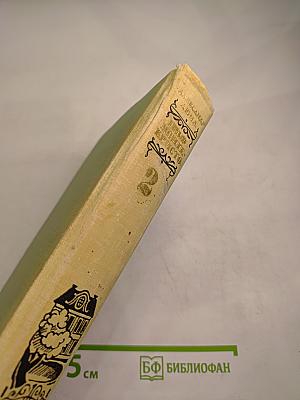 Граф Монте-Кристо Том 2