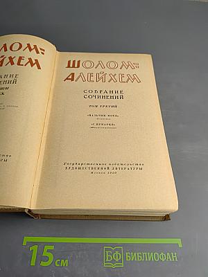 Собрание сочинений. Том третий: Мальчик Мотя. С ярмарки