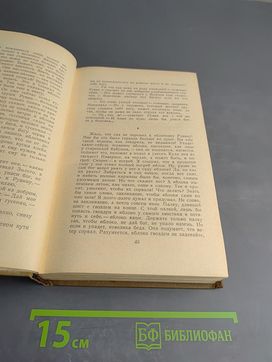 Собрание сочинений. Том третий: Мальчик Мотя. С ярмарки