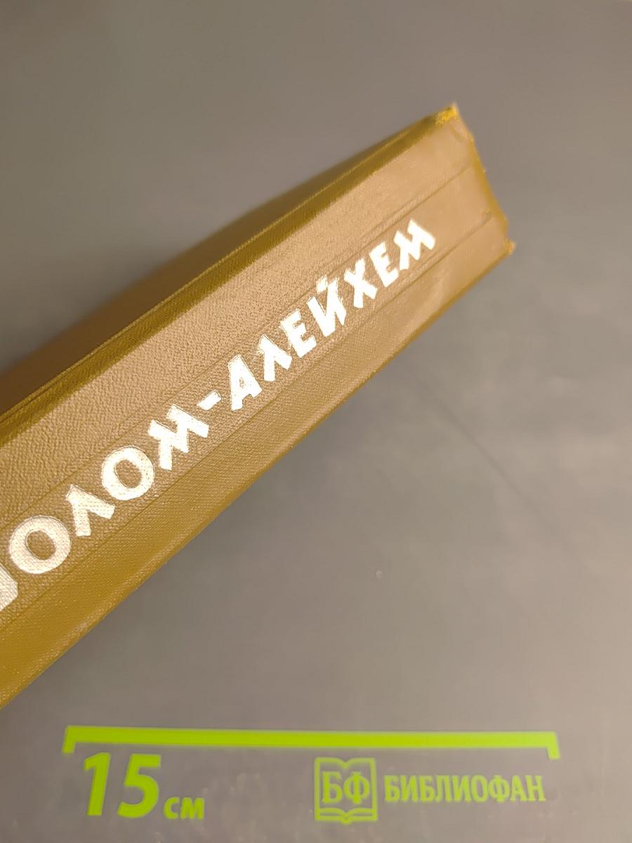 Собрание сочинений. Том третий: Мальчик Мотя. С ярмарки