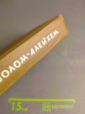 Собрание сочинений. Том третий: Мальчик Мотя. С ярмарки