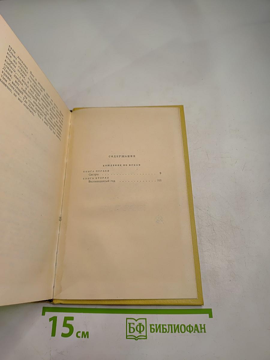 Хождение по мукам. Книги первая и вторая. Том пятый