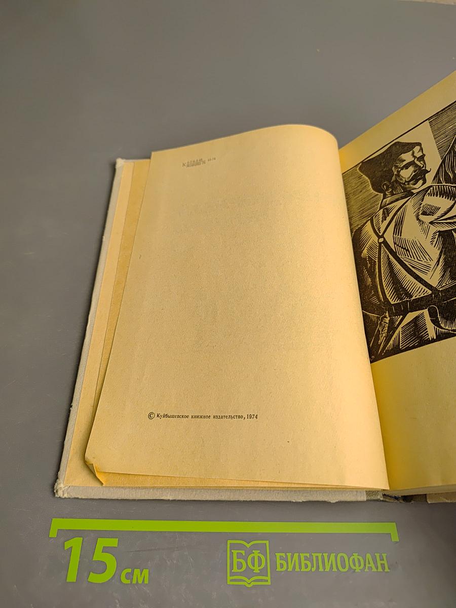 Легендарный начдив