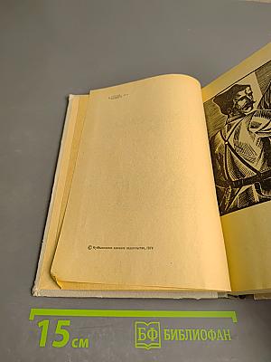 Легендарный начдив