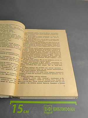 Легендарный начдив