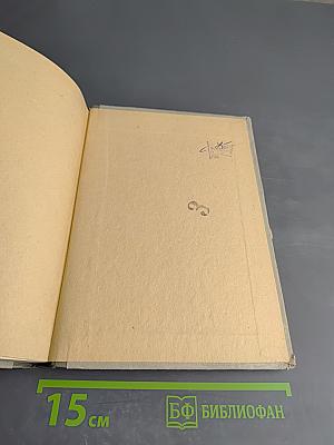 Легендарный начдив