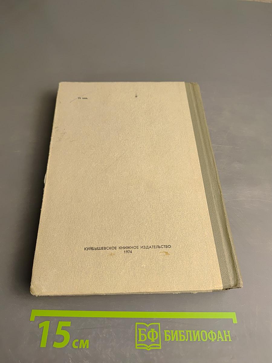 Легендарный начдив