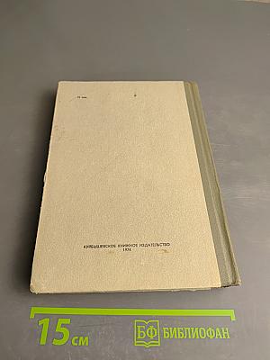 Легендарный начдив