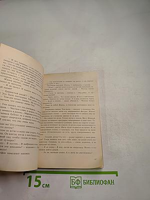 Инспектор и ночь