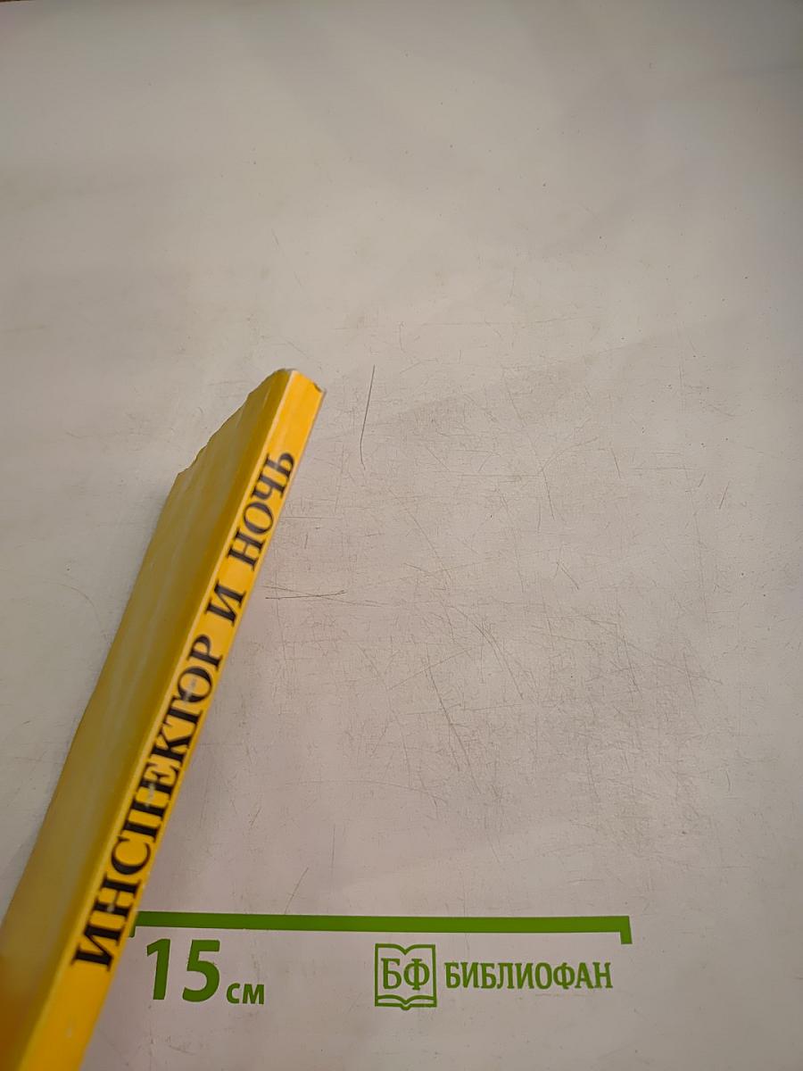 Инспектор и ночь