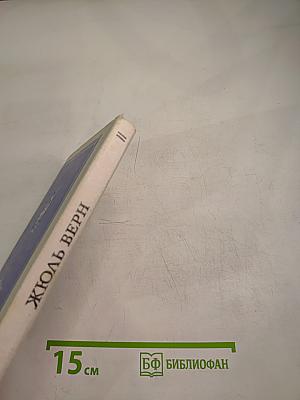 Впередсмотрящий