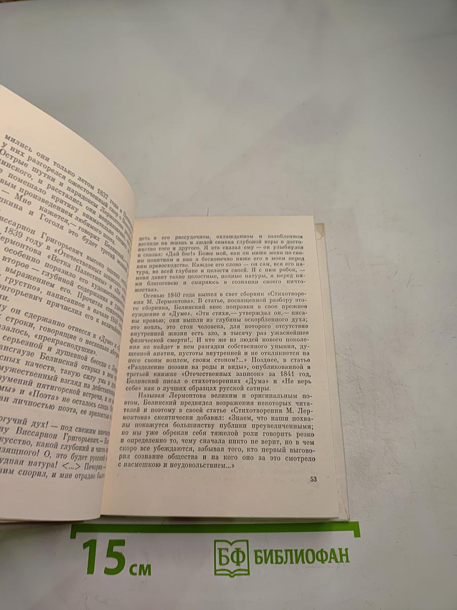 Белинский в Петербурге